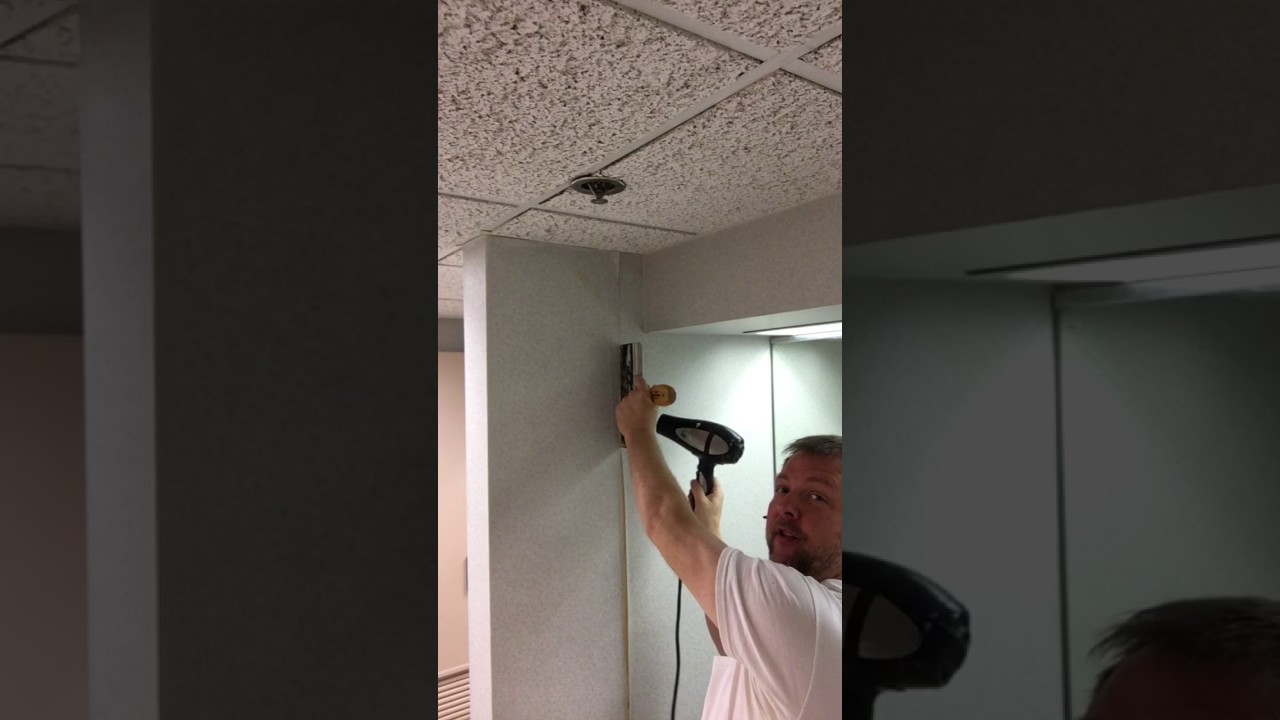 [15+] How to Reseal Wallpaper Seams on WallpaperSafari