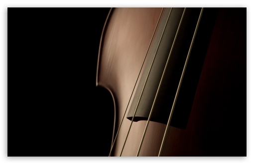 Double Bass Close Up Digital Wallpaper Black
