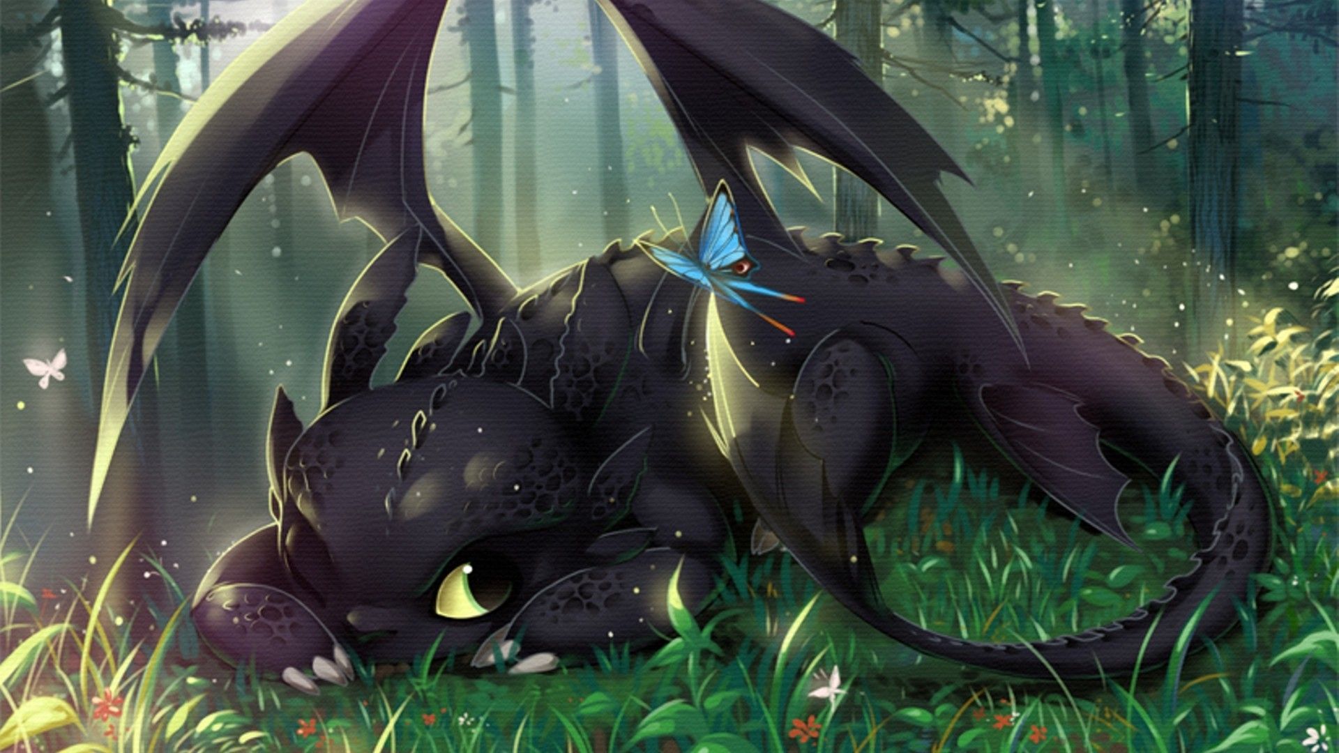 How To Train Your Dragon Toothless Wallpaper HD