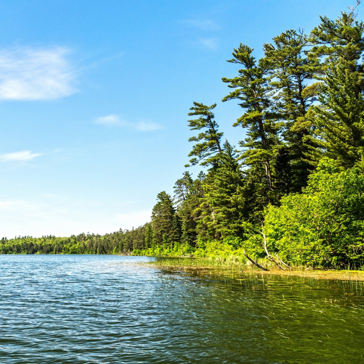 Lhts Dictionary Lake Wallpaper
