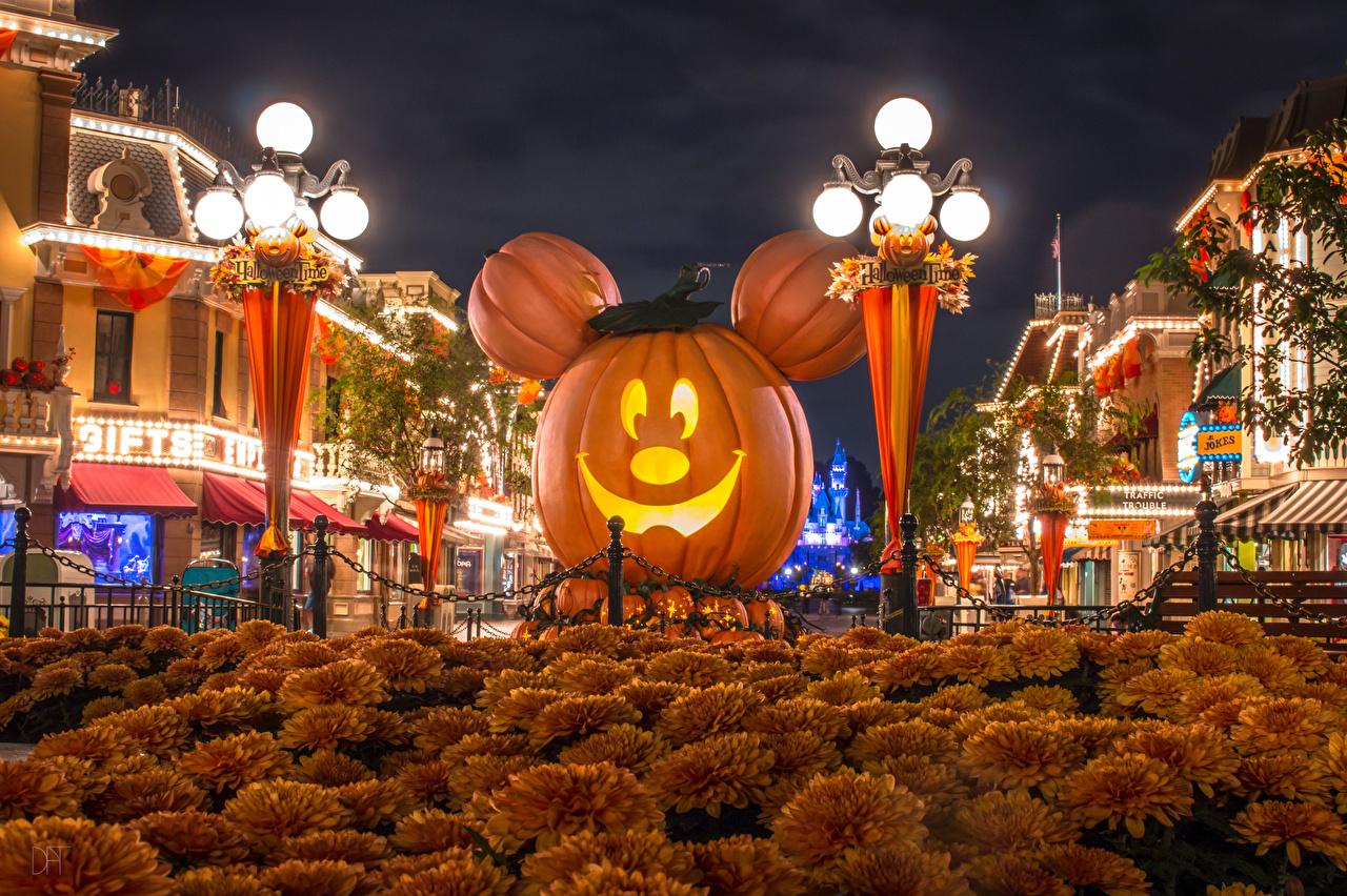 Pictures Anaheim California Disneyland Usa Pumpkin Halloween Park