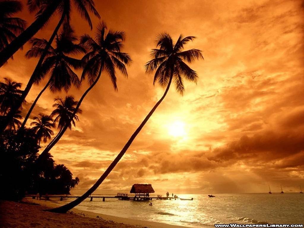 Free download Tropical Beach Paradise Sunset Fondos de pantalla