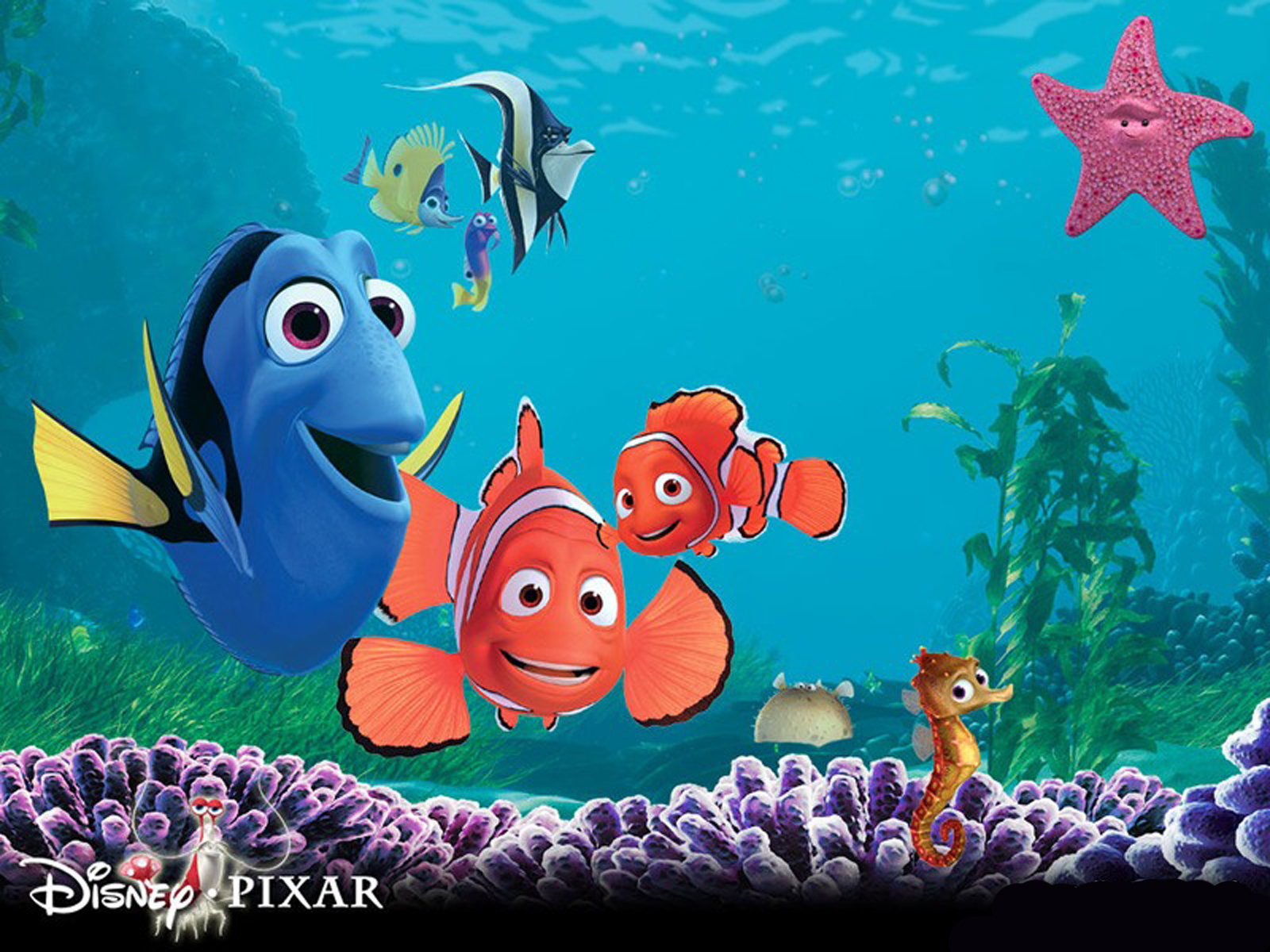 Finding Nemo 3d Movie Poster HD Wallpaper