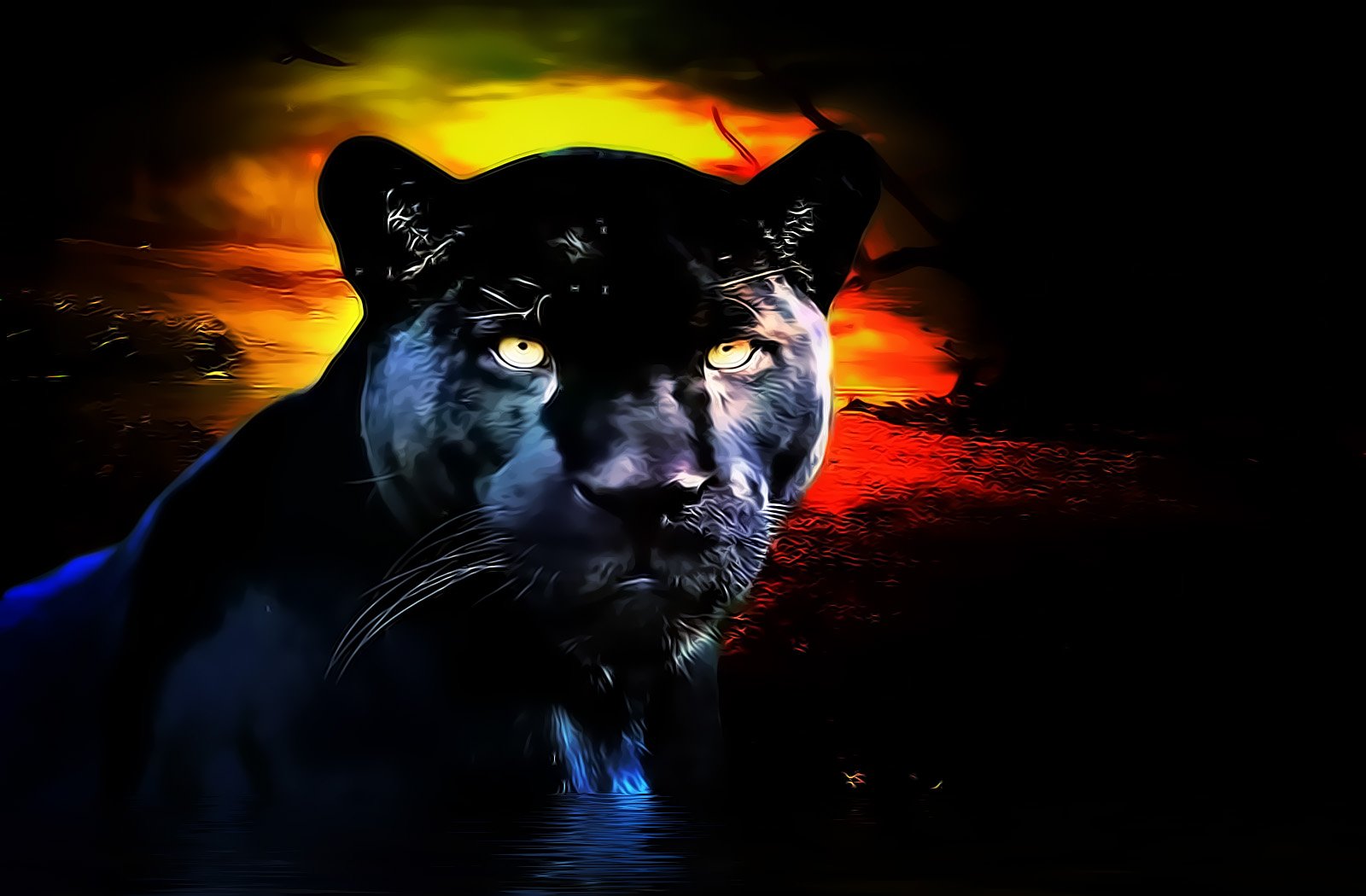 PANTHER cat panther wallpaper black animaljpg