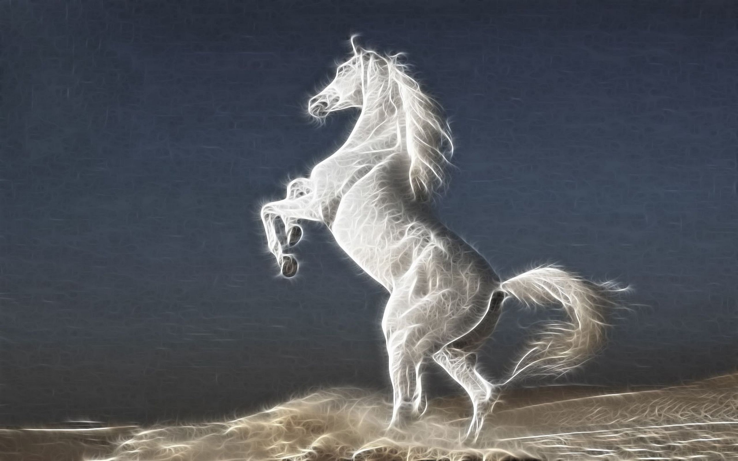 White Stallion HD Wallpaper Background Image Id