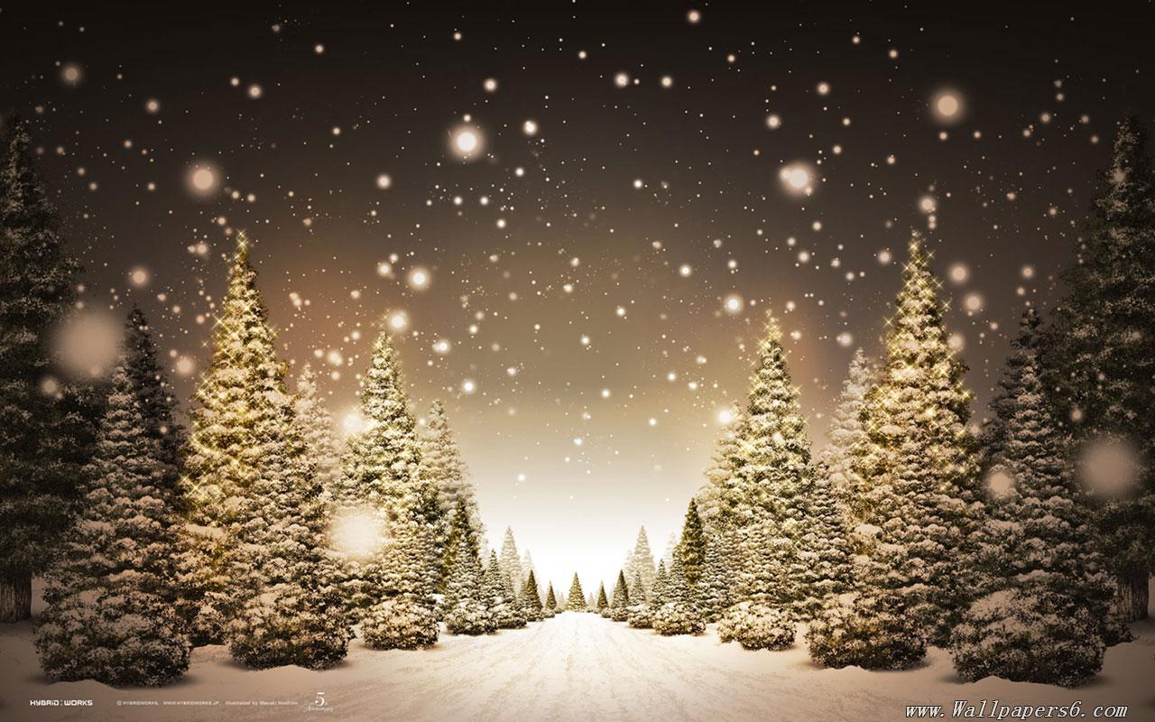 Snow Christmas Trees Winter Wallpaper