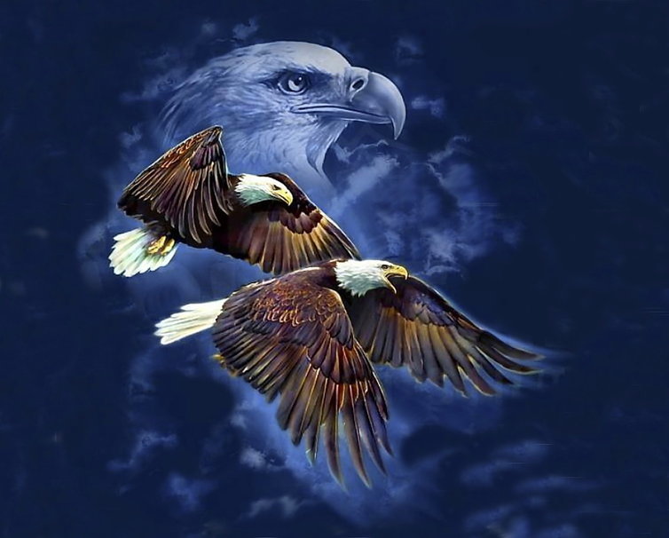 Eagle Spirit Wallpaper