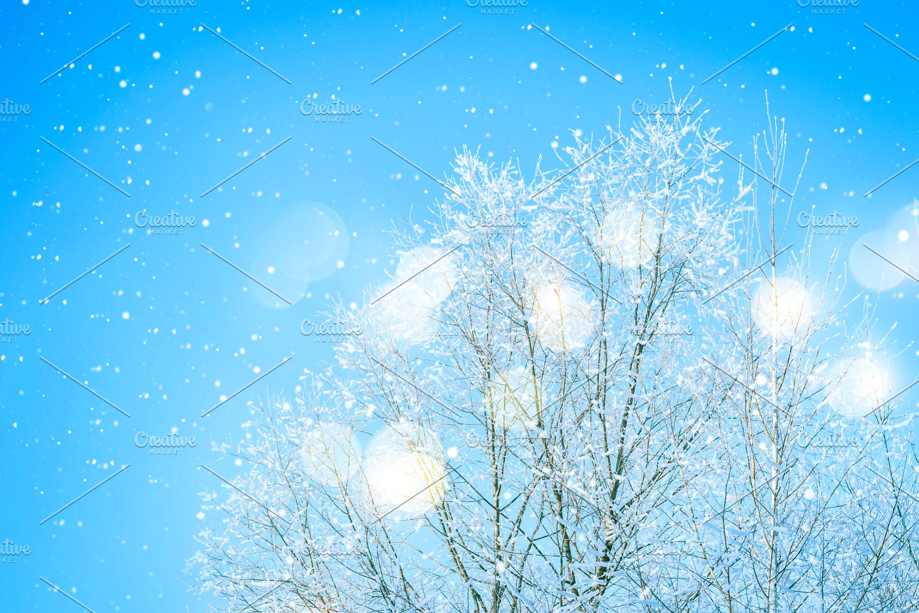 Blue Winter Background Snow Treetop Holiday Photos Creative