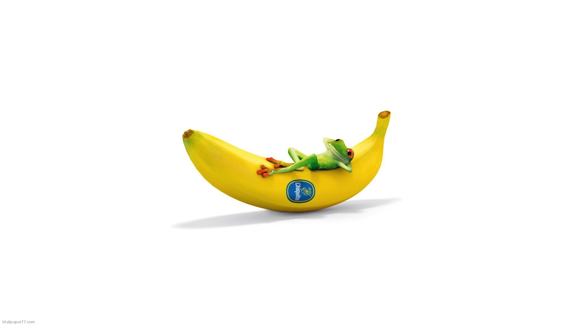 Chiquita With Frog Funny fun wallpapers funny wallpapers cute