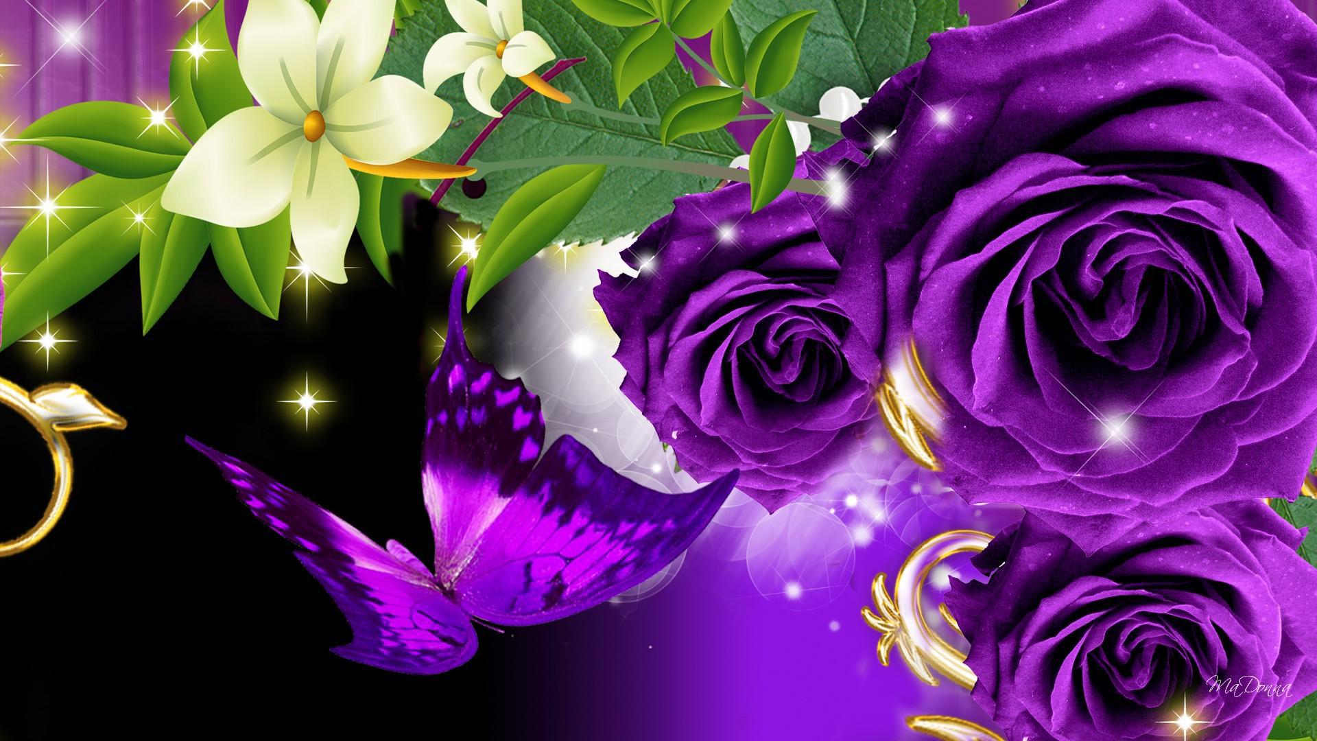 Purple And Black Butterfly Wallpaper On A Background
