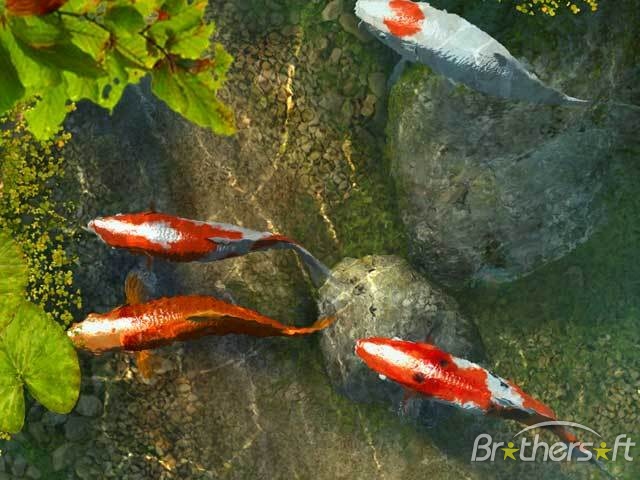 Download Free Koi Fish 3D Screensaver Koi Fish 3D Screensaver 10