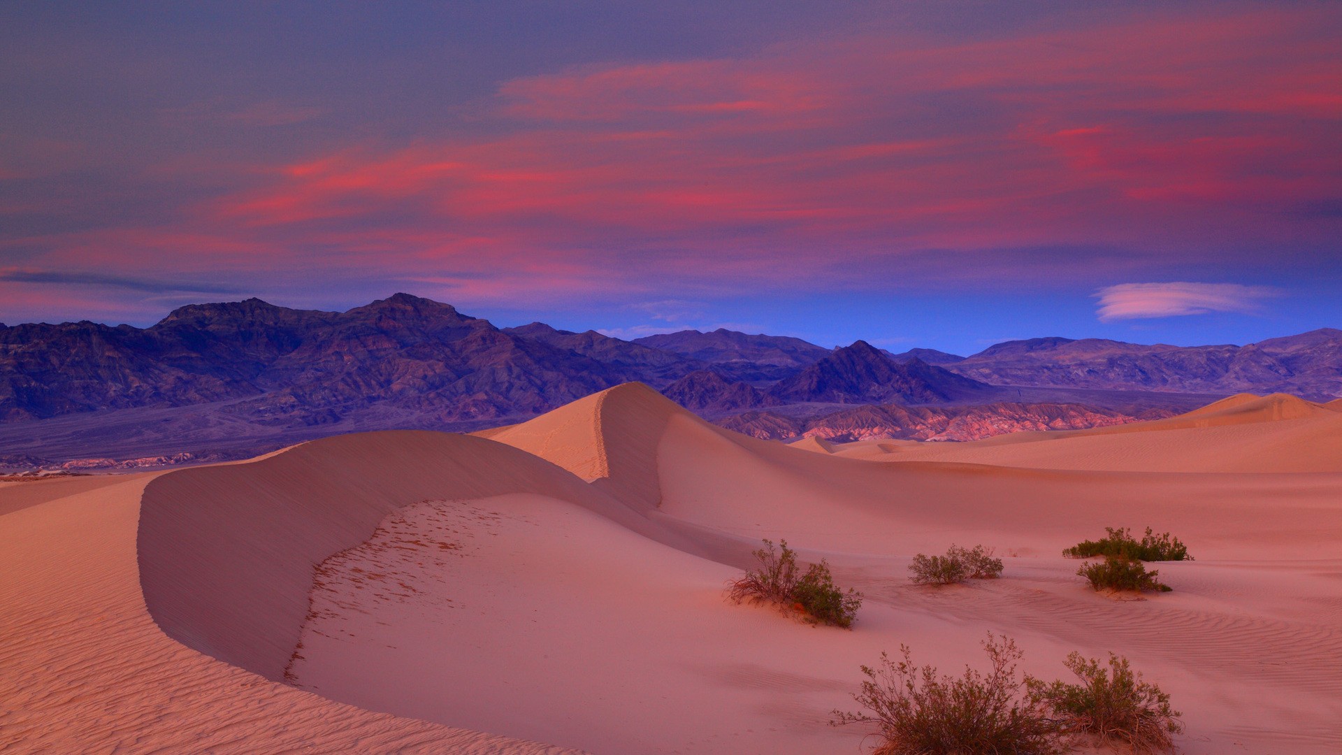 Desert pink wallpapers and images   wallpapers pictures photos