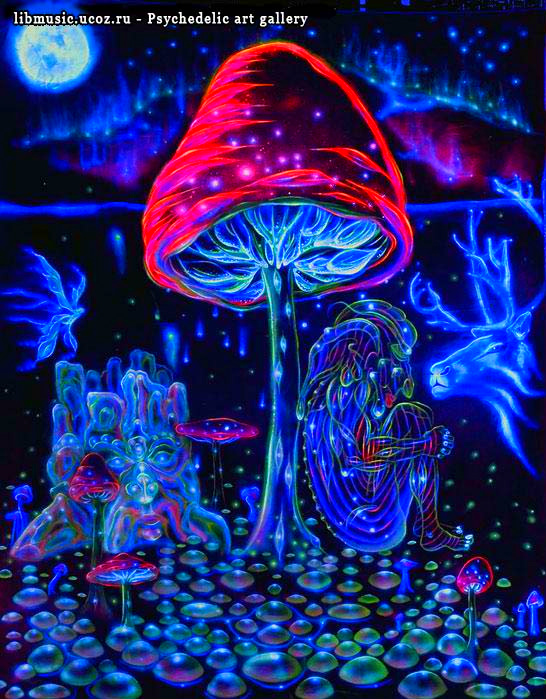 Art Mushroom Psychedelic Wallpaper HD Background Image