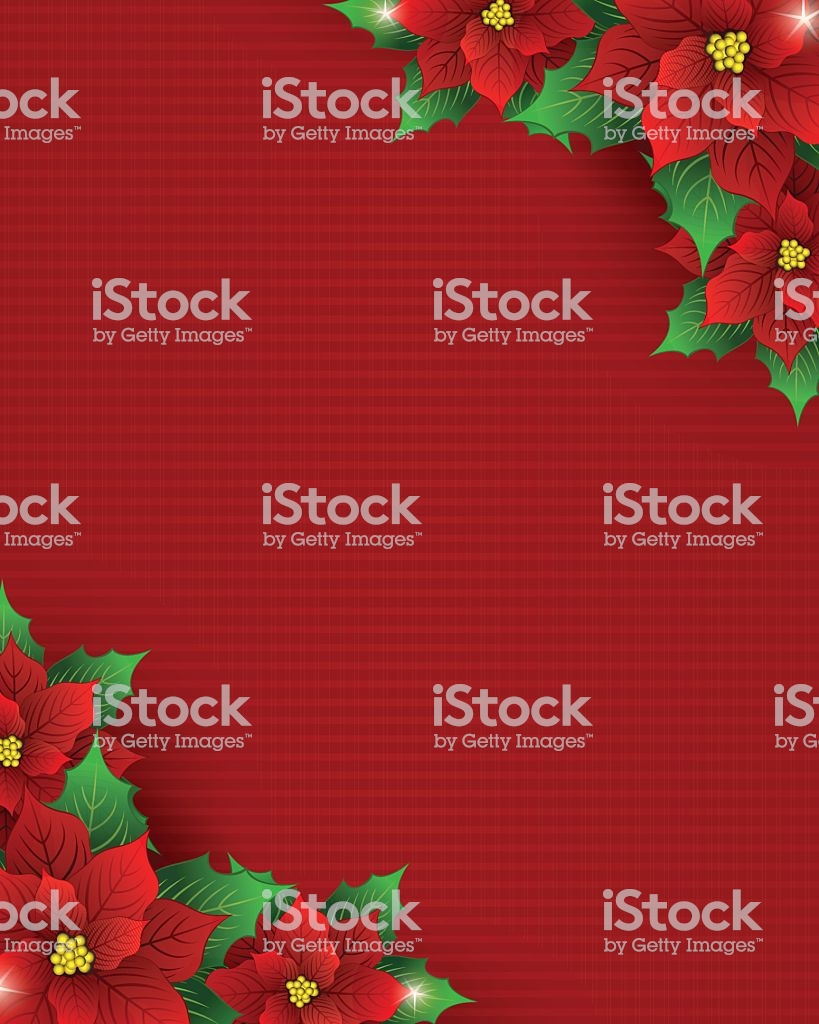 Poinsettia Background Stock Vector Art More Image Of
