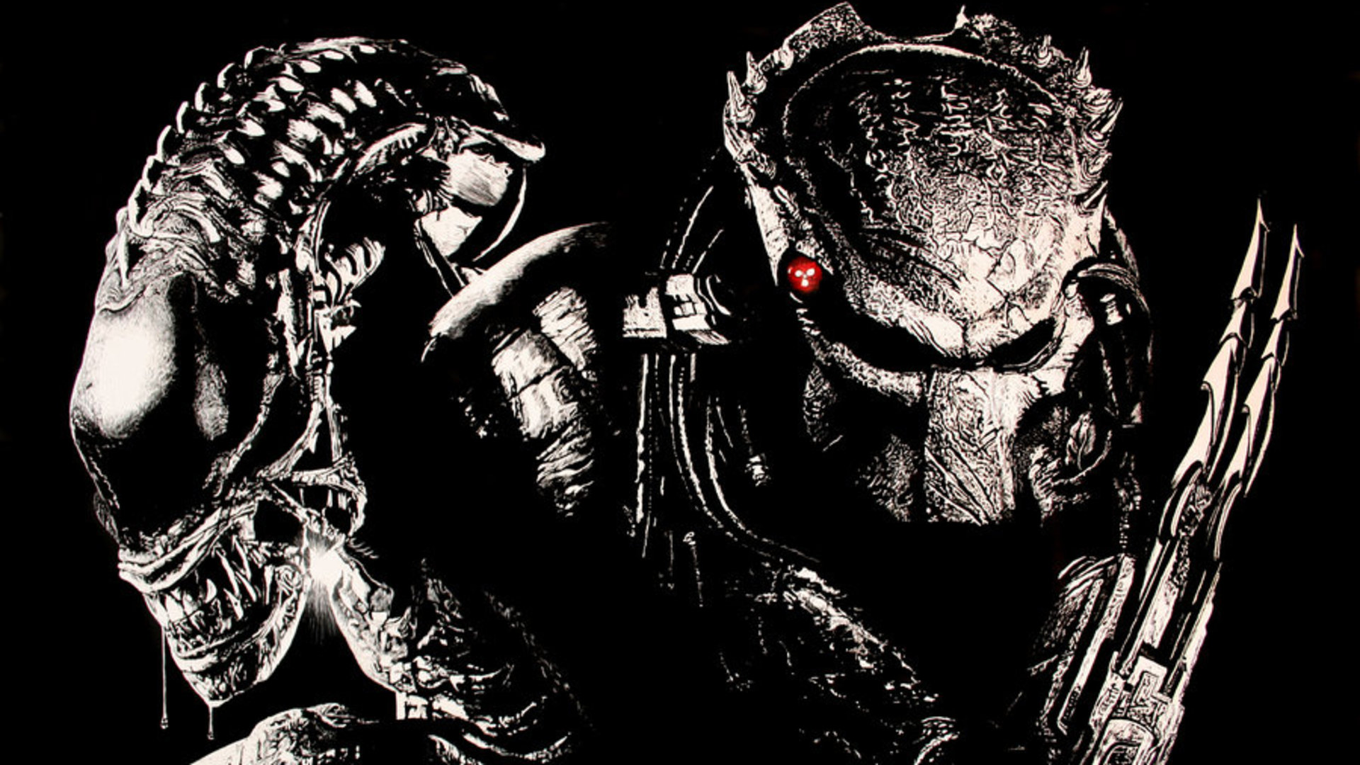 Avp Alien Vs Predator Puter Wallpaper Desktop Background