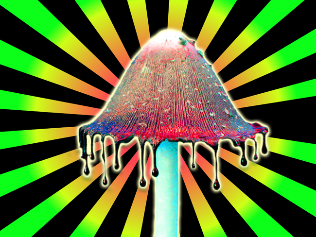 Neon Mushroom By Samanthamuscaria