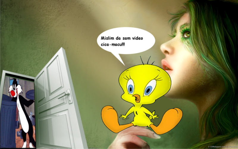 Wallpaper Pictures Image And Photos Tweety