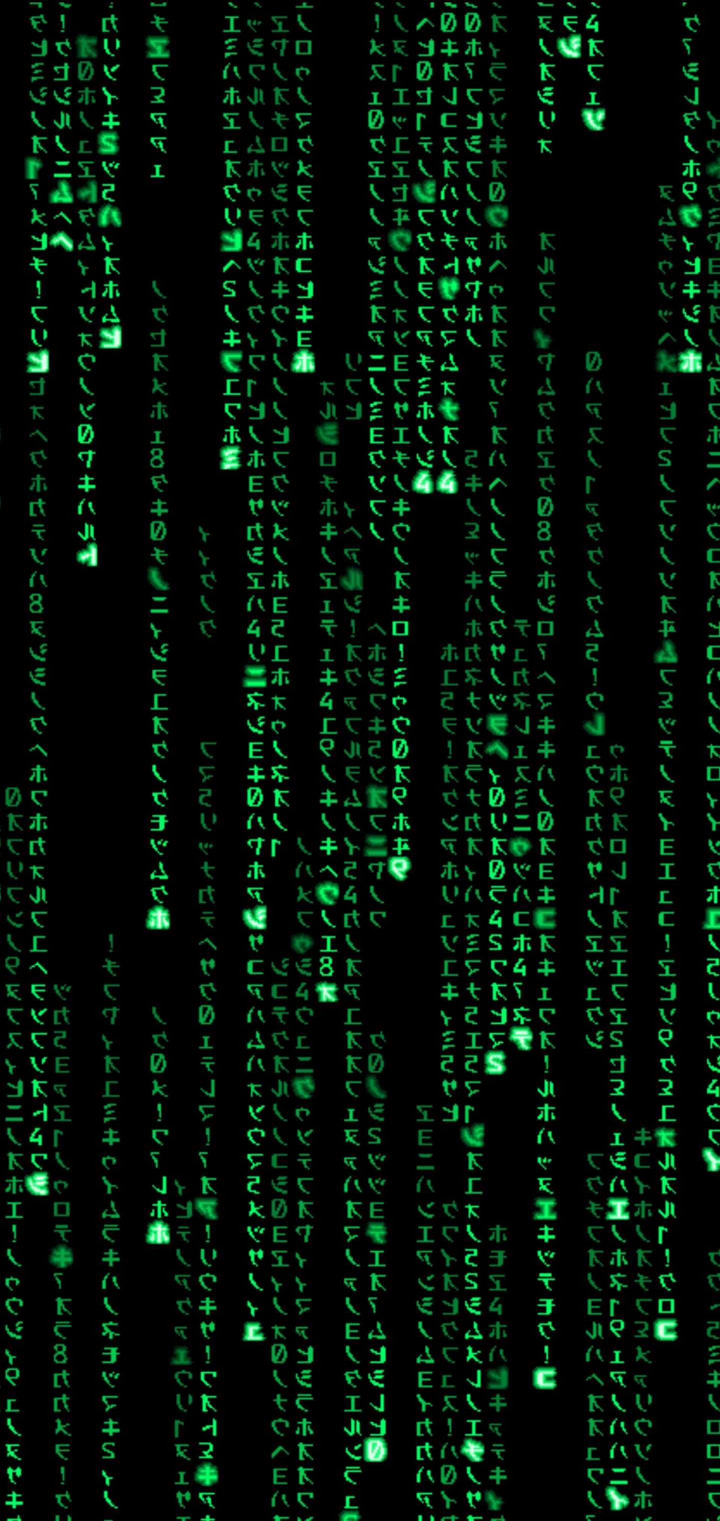 Experience The Matrix With iPhone Wallpaper