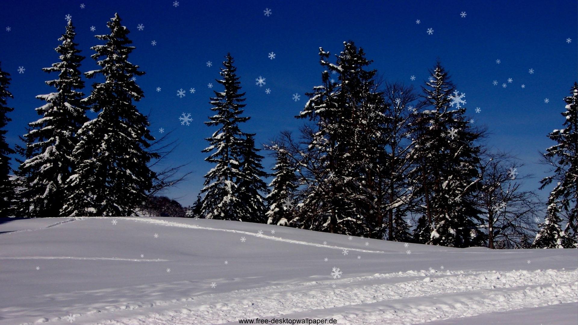 Winter Forest On Snowy Day