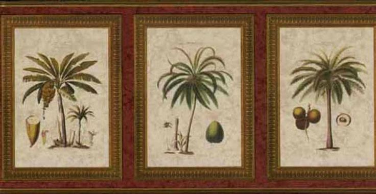  compalm trees tropical fruit trees wallpaper border 5507080