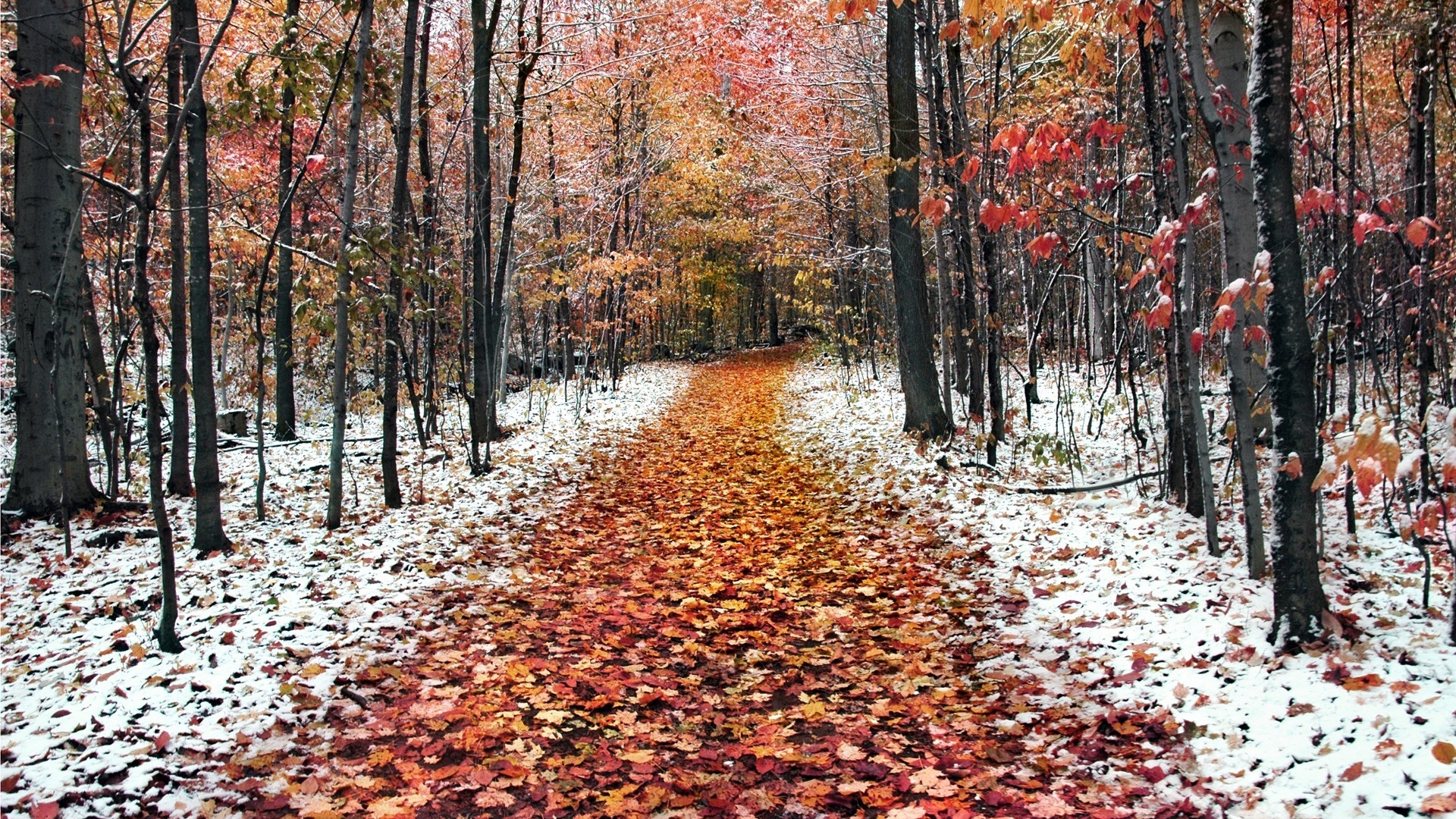 November Wallpaper HD