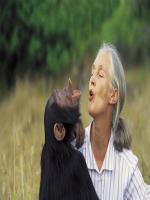Jane Goodall Profile Biodata Updates And Pictures