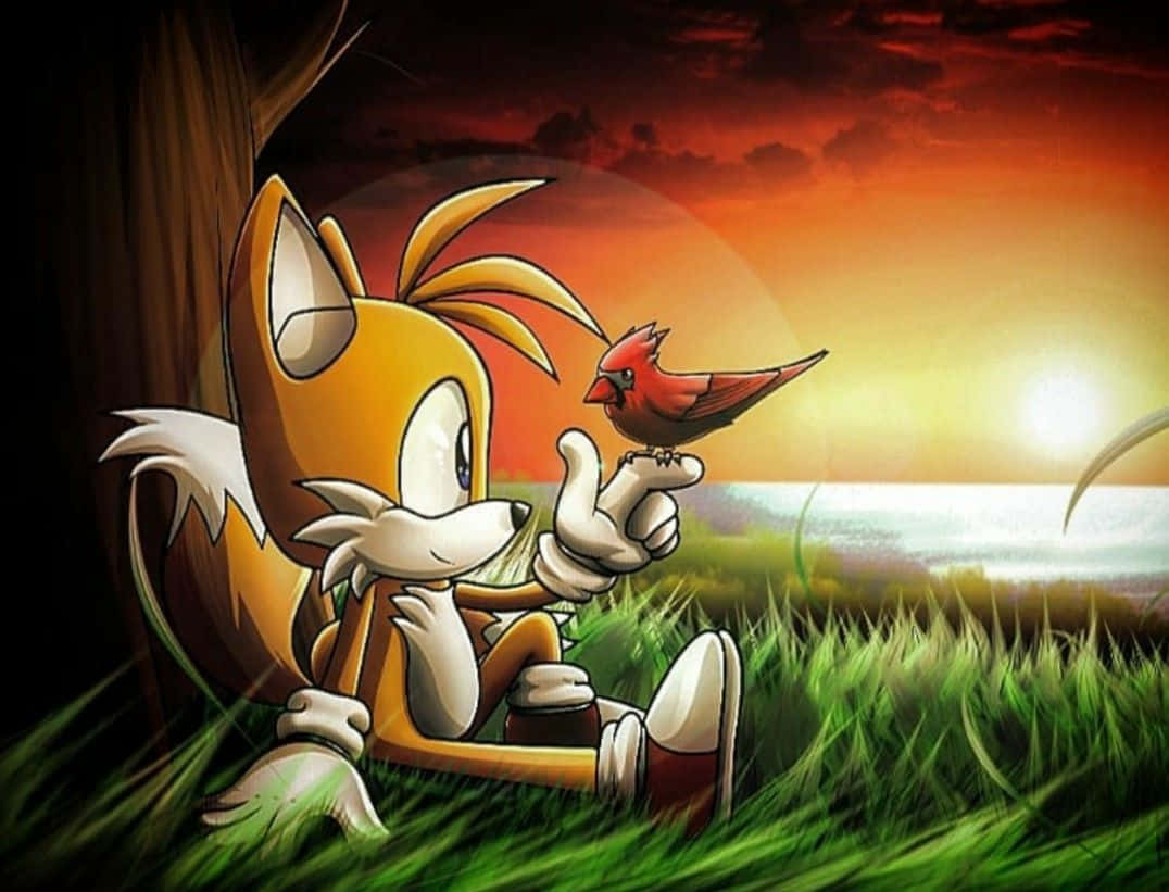 Tails 2h5j1jnhnhhb97x8 Wallpaper