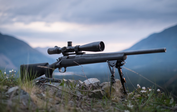 Wallpaper Remington Sniper Rifle Optics Bipod