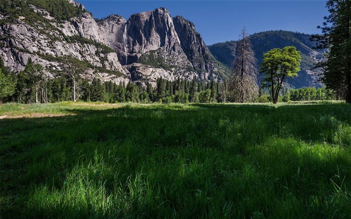 Yosemite National Park Microsoft Theme Wallpaper List
