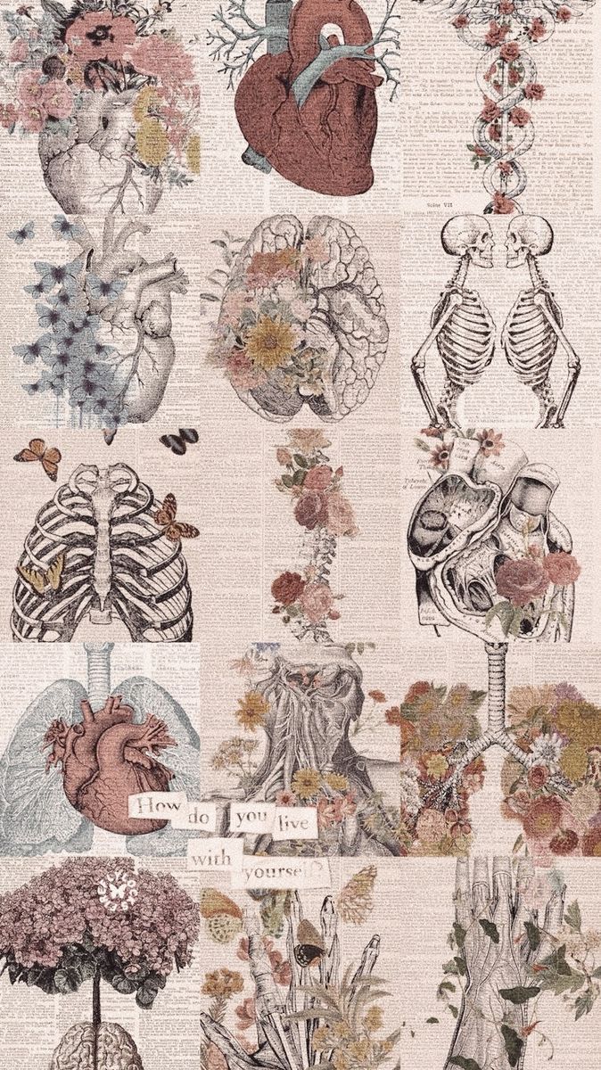 Caffeinatedmedlife On Collage Biology Art iPhone