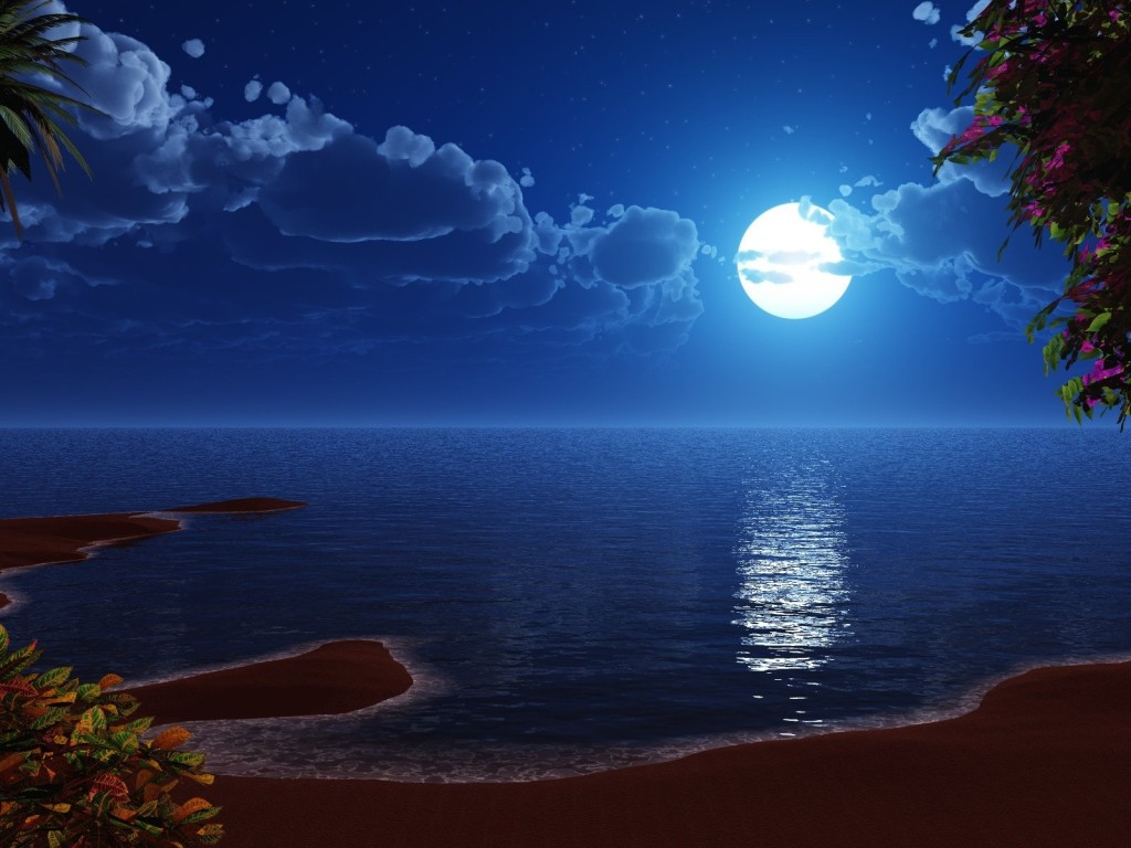 Free download 3D Beach Night View Hd Wallpapers View Wallpapers [1024x768]  for your Desktop, Mobile & Tablet | Explore 41+ Beach Moon Wallpaper | Moon  Wallpapers, Moon Wallpaper, Harvest Moon Wallpapers