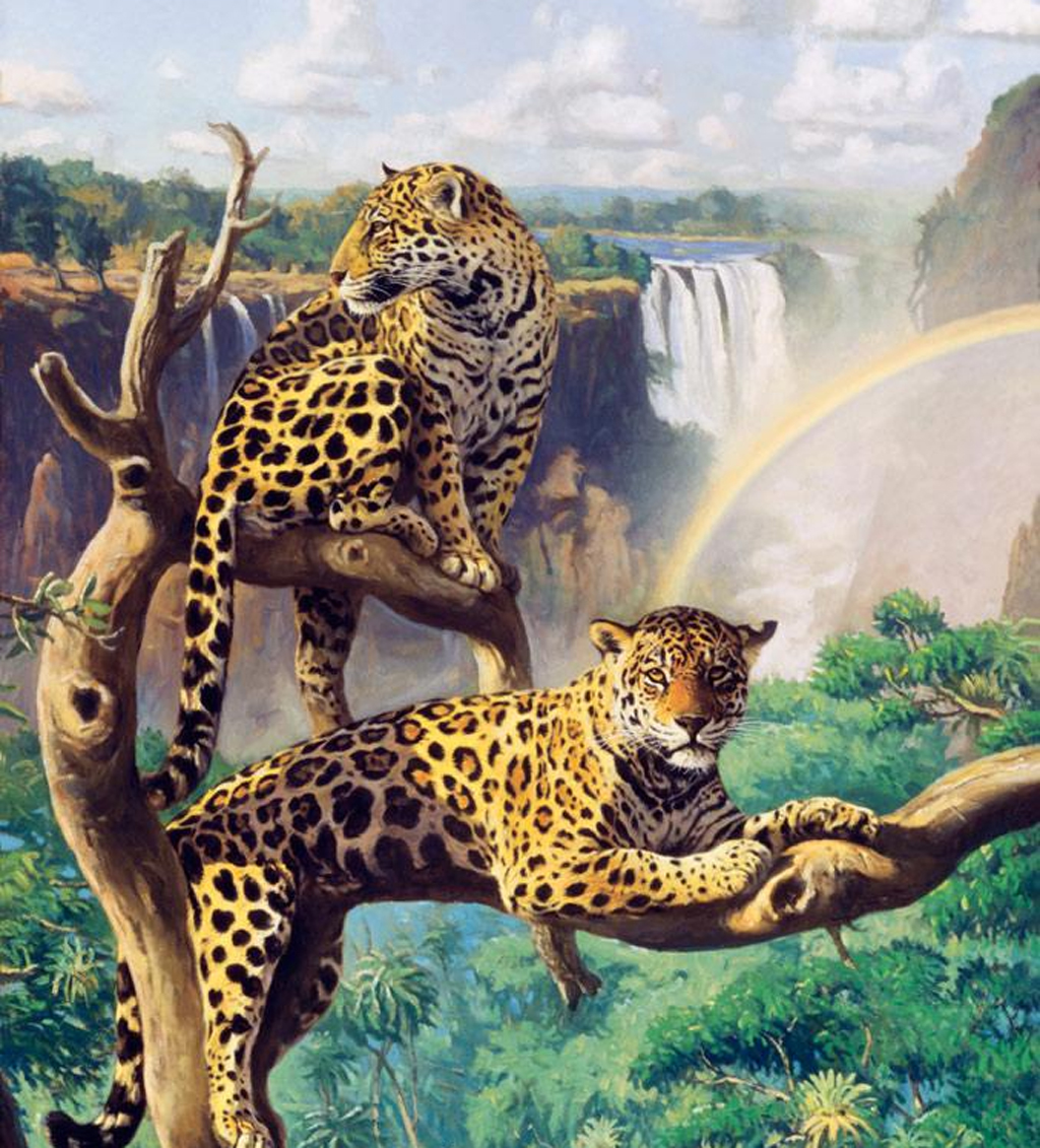 Leopard Mural Wallpaper Murals Pixel Popular HD