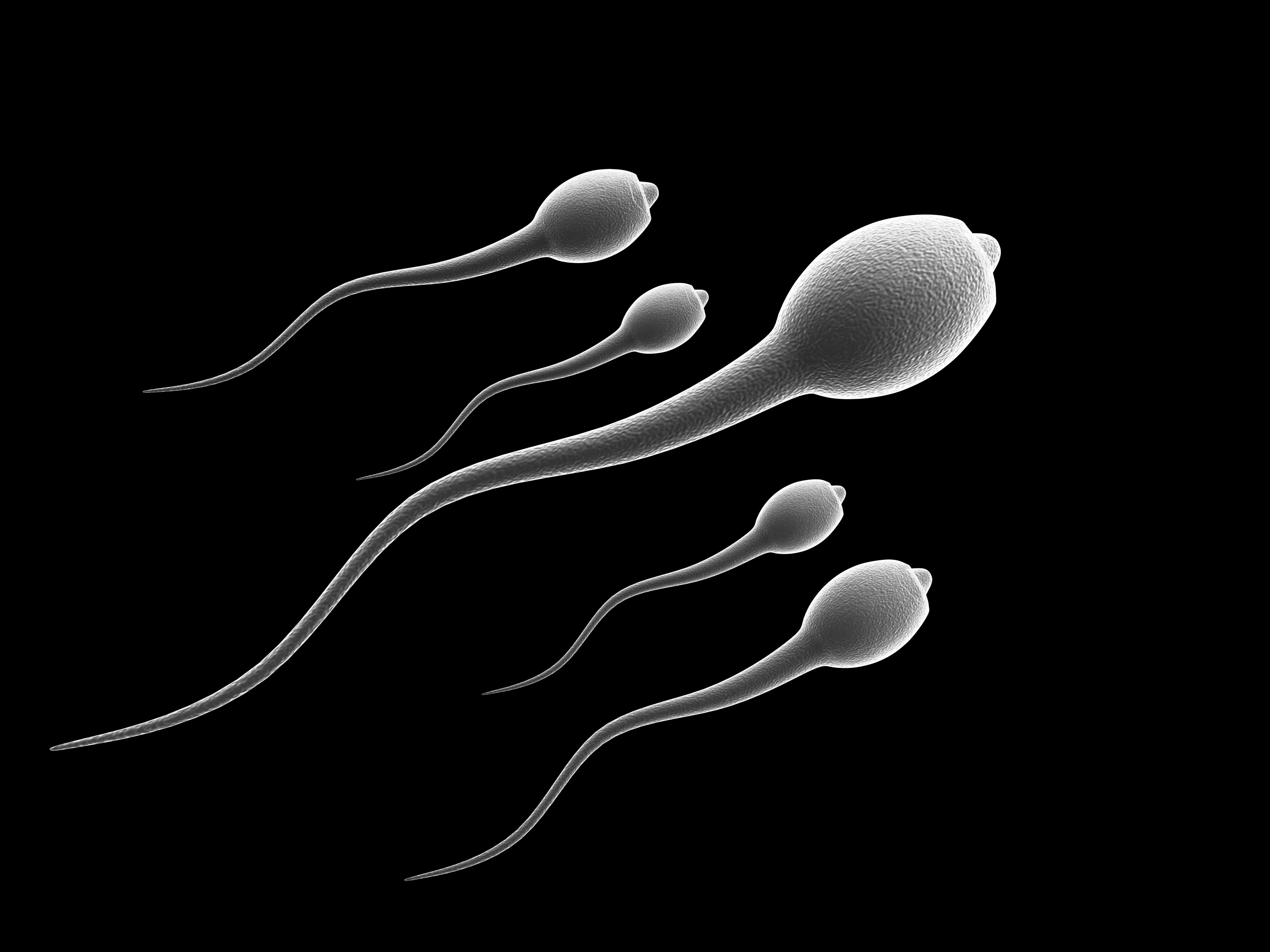 Top Tips To Boost Sperm Health Sabi News