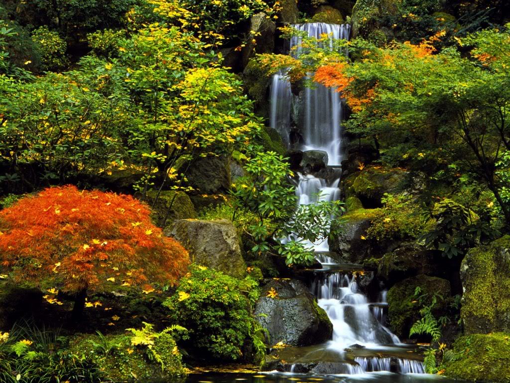Japanese Garden Portland Oregon Wallpaper Background Theme Desktop 1024x768