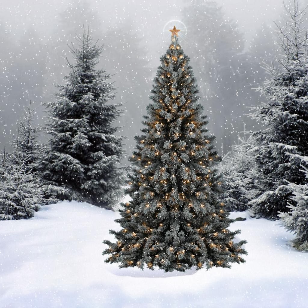 Tree Spruce Snow Wallpaper For iPad Jpg
