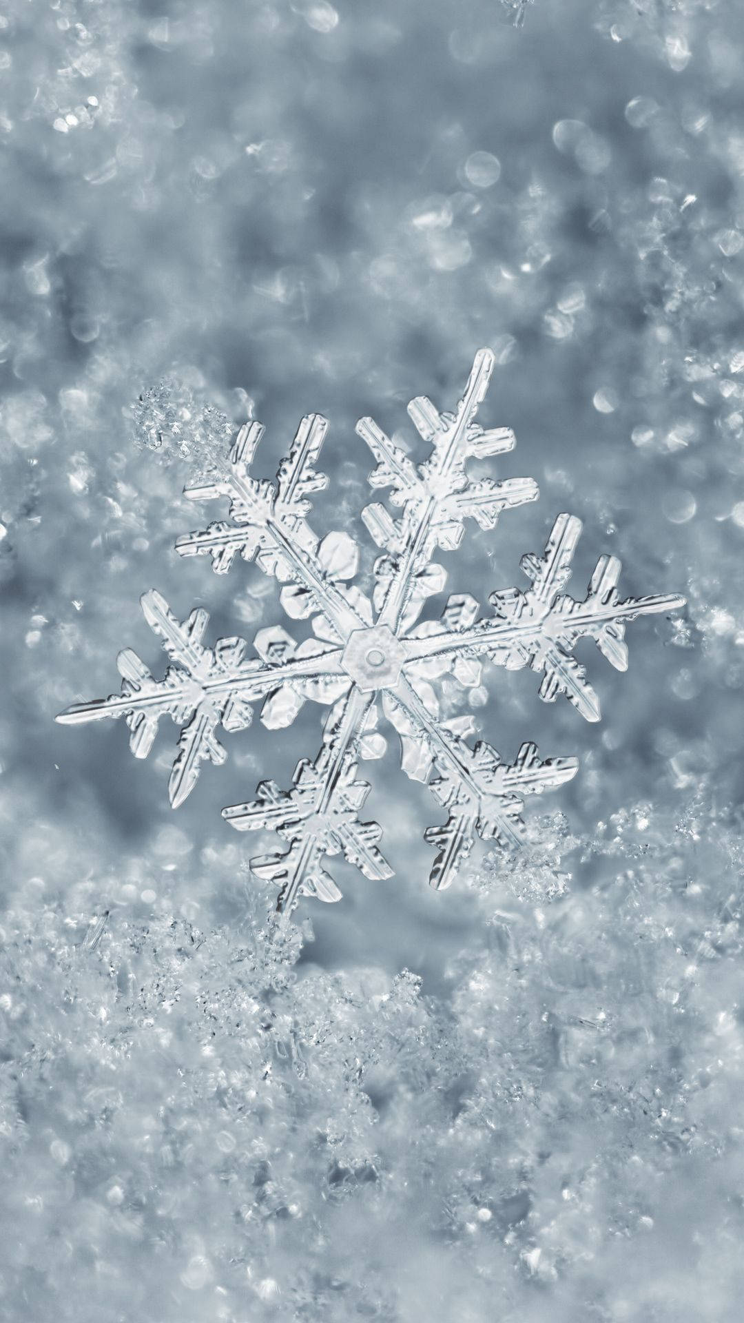 Snowflake Wallpaper