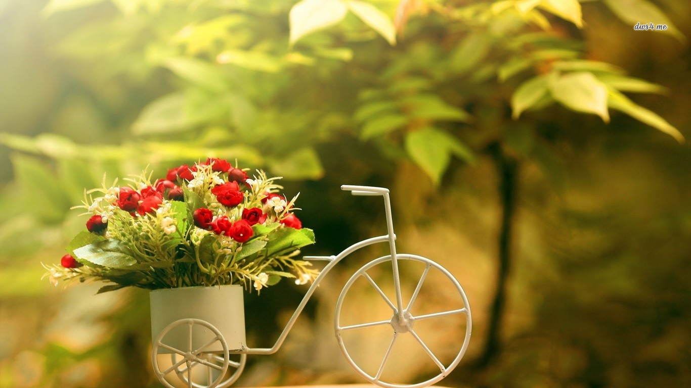 Bike Flower Pot Wallpaper Photography
