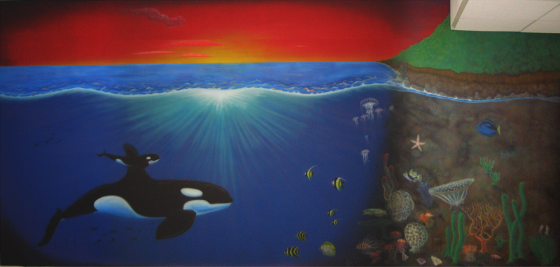 Underwater Wallpaper Murals High Definition