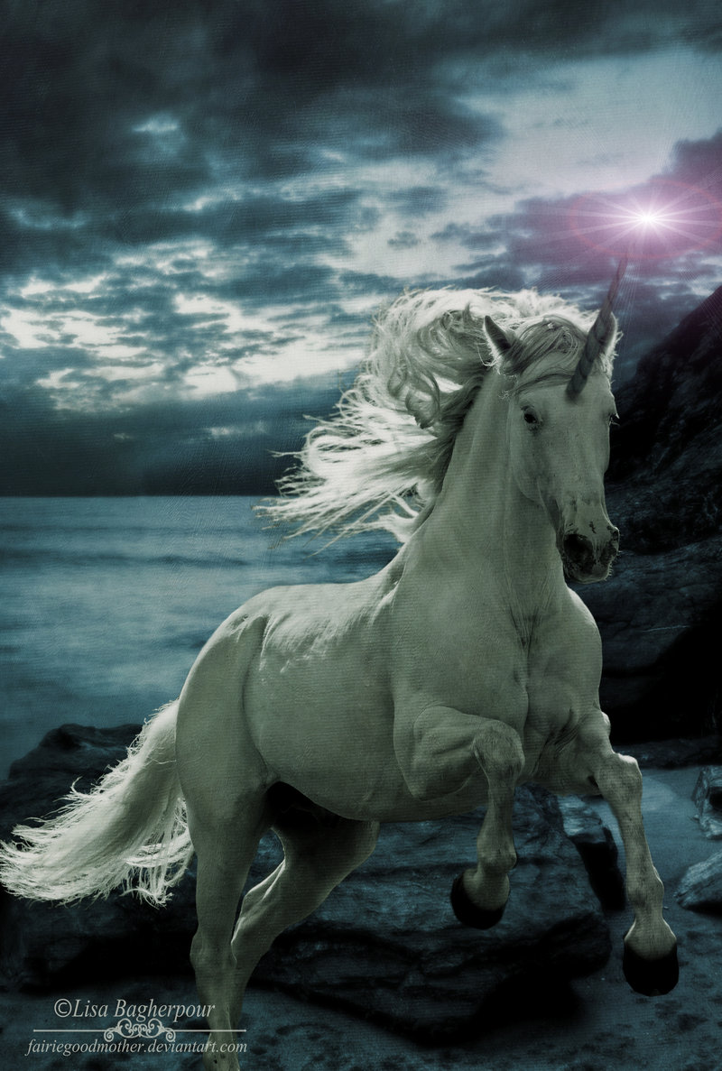 Unicorn Art Gallery And Pegasus Desktop Wallpaper