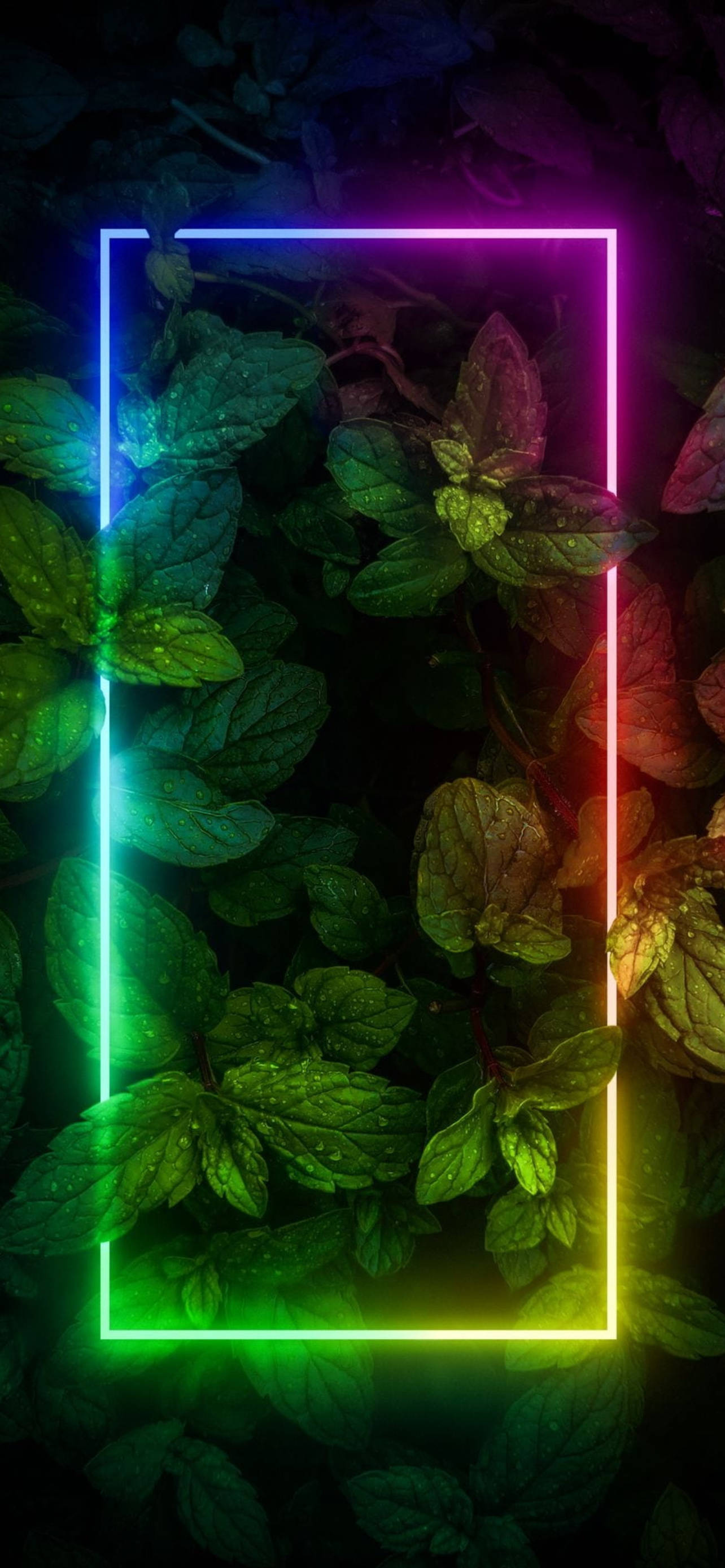 Plants With Border Neon Aesthetic iPhone Wallpaper