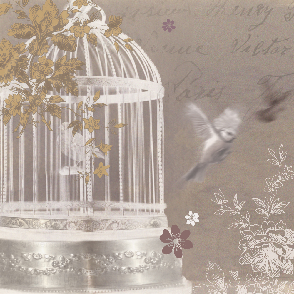 Silver Birdcage S By Arthouse Wallpaper Direct