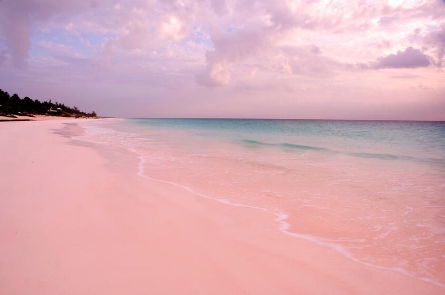 Pink Beach Wallpapers  Top Free Pink Beach Backgrounds  WallpaperAccess