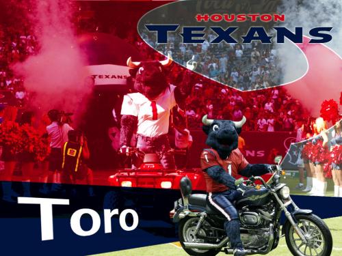 High Definition Houston Texans Toro