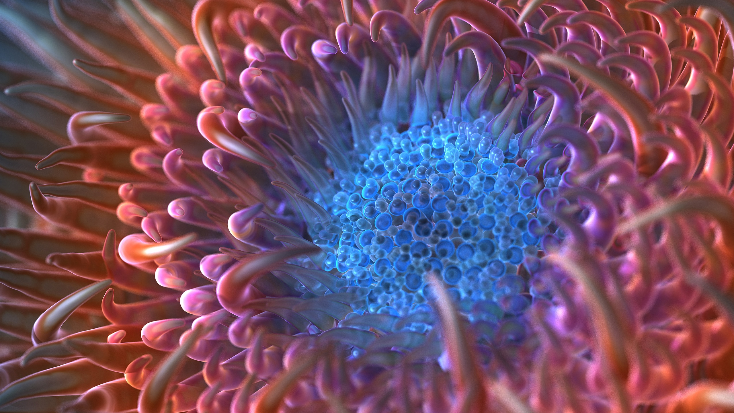 Digital Anemone Flower Wallpaper HD
