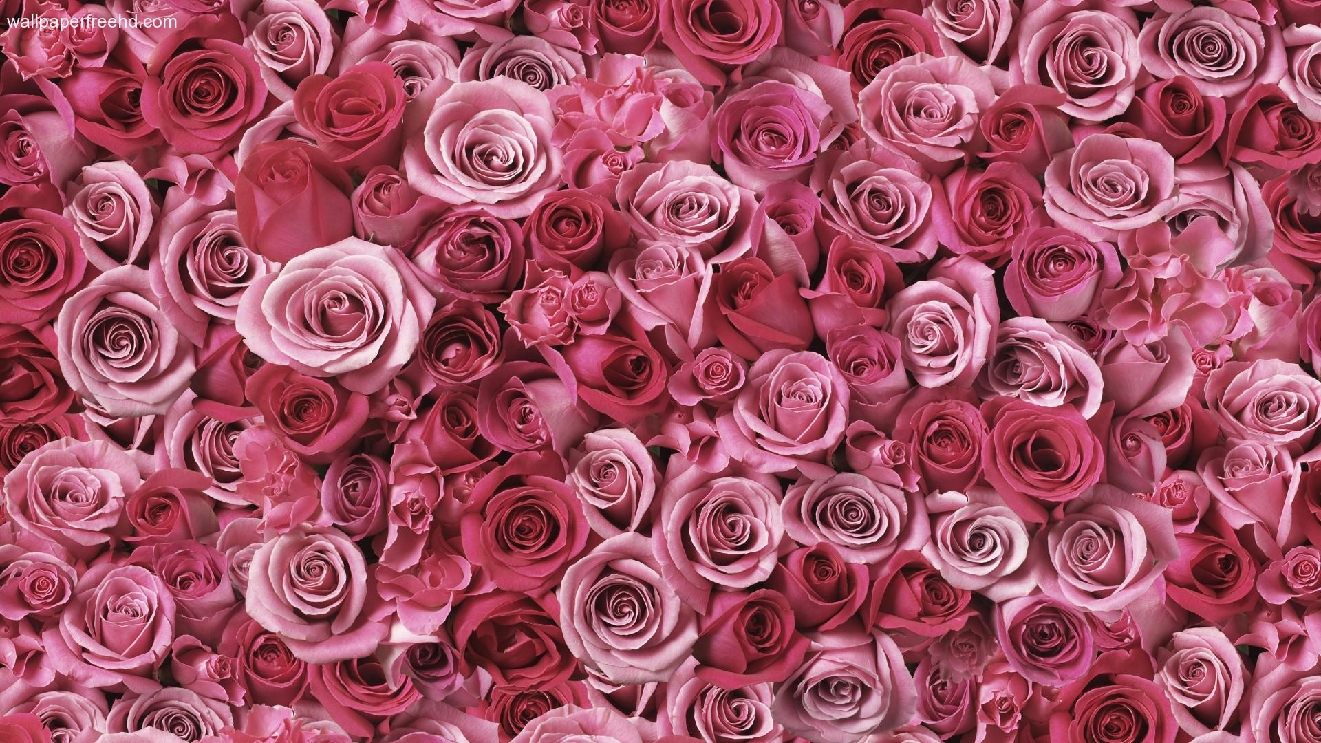 Cute Girly Wallpaper For Laptop