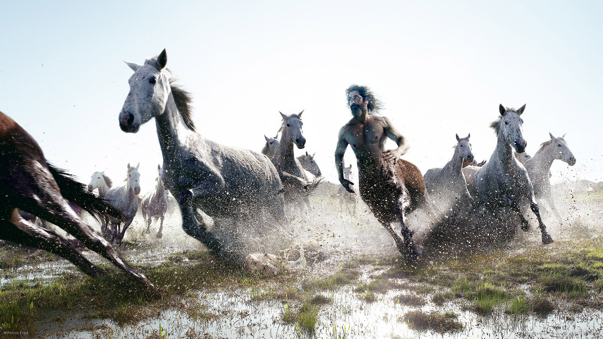 HD Centaur Running Among Horses Wallpaper
