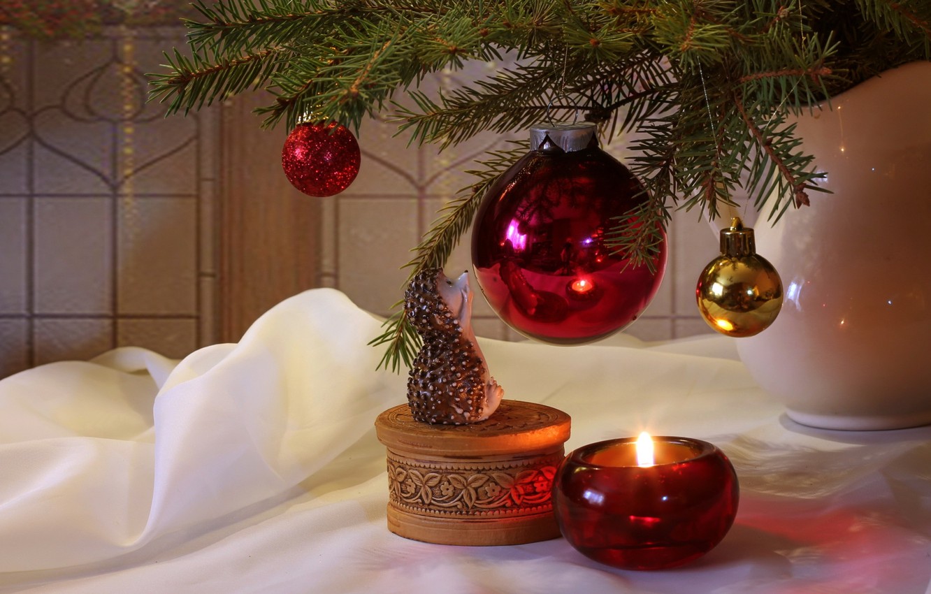 Wallpaper Toys Tree Candle Box Hedgehog Image For Desktop