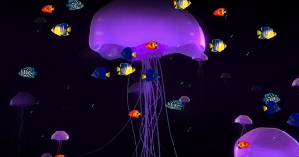 Coral Reef Aquarium Screensaver Animated Wallpaper Version