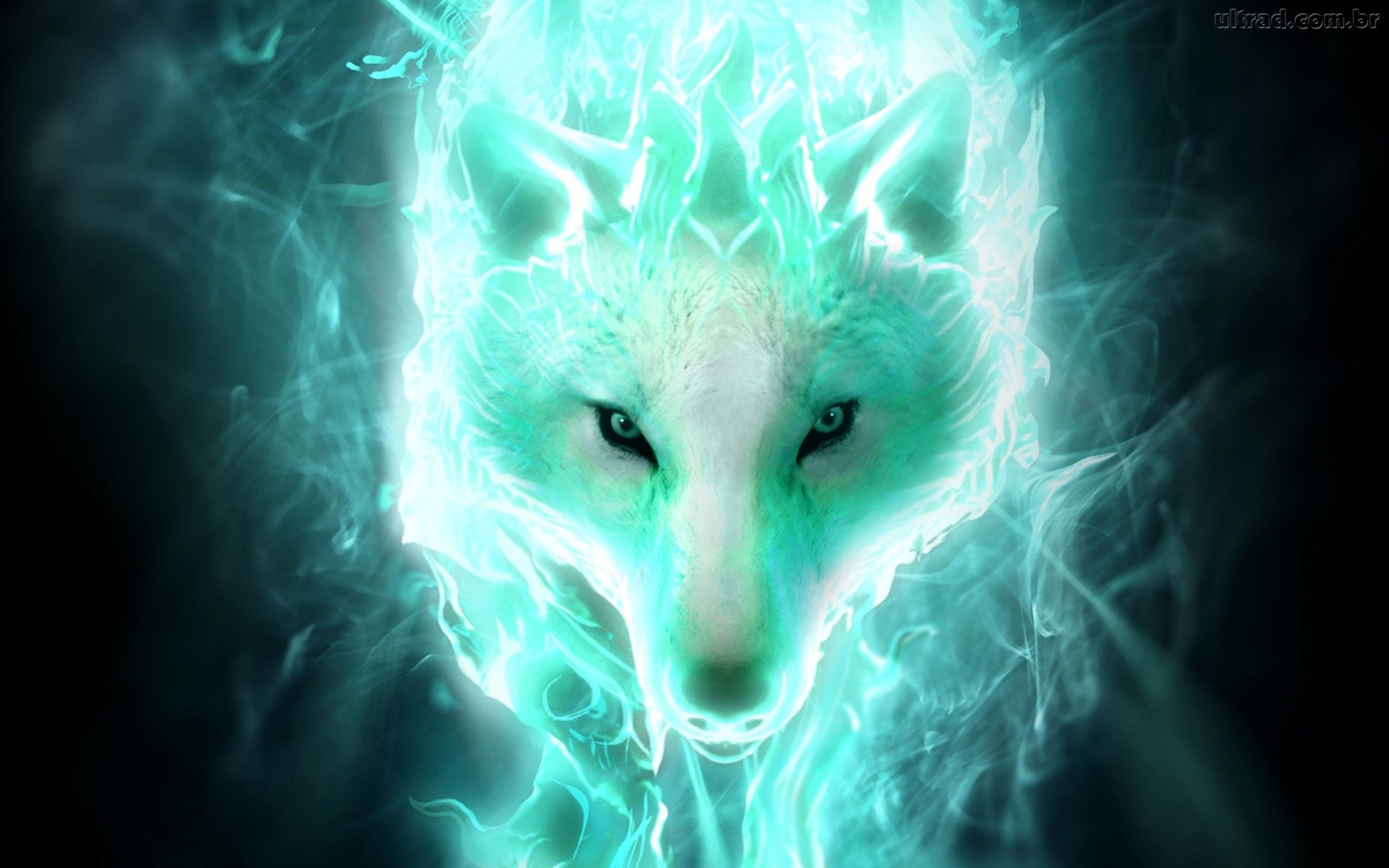 White Spirit Wolf Puter Wallpaper Desktop Background