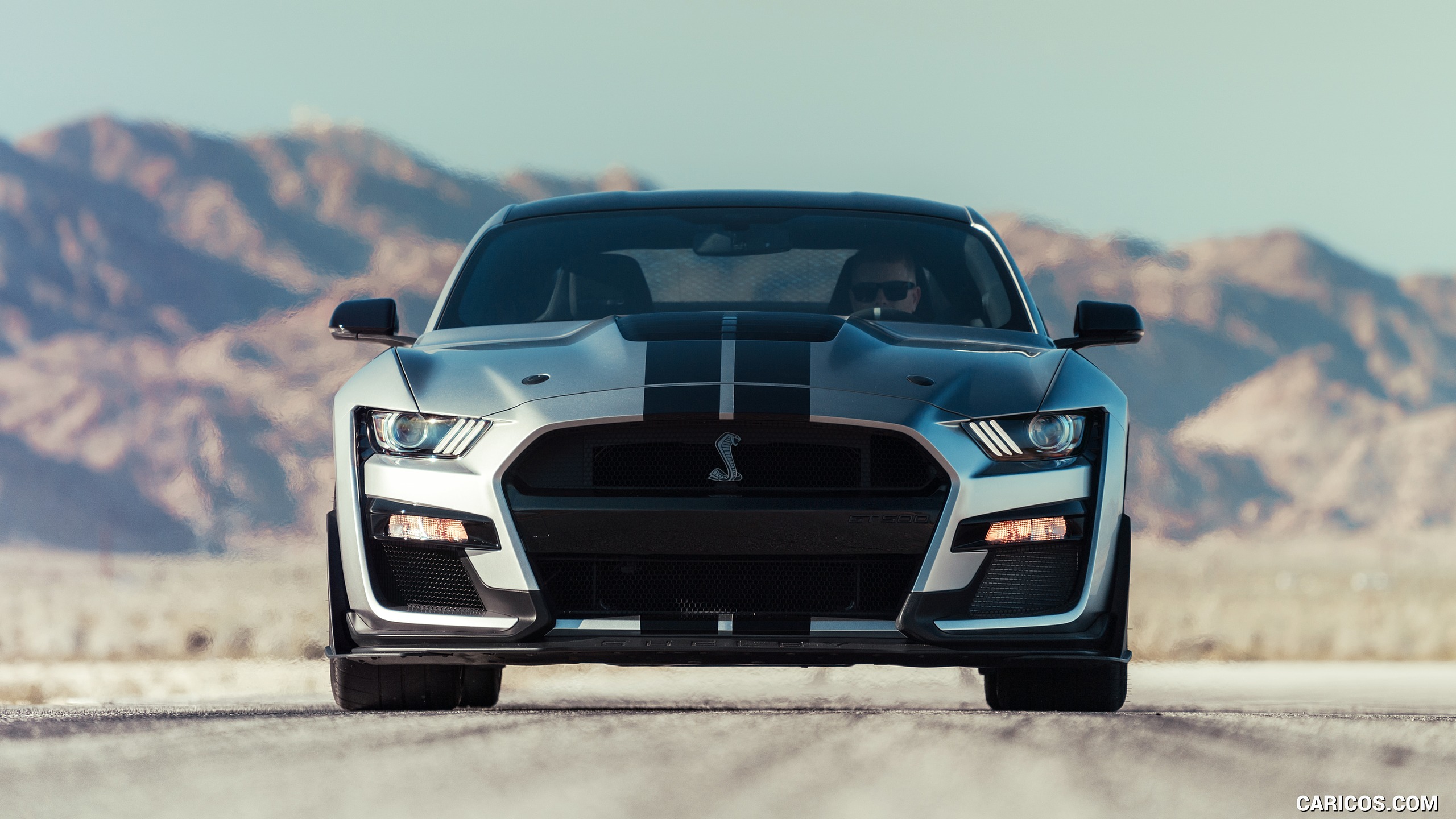 Ford Mustang Shelby Gt500 Front HD Wallpaper